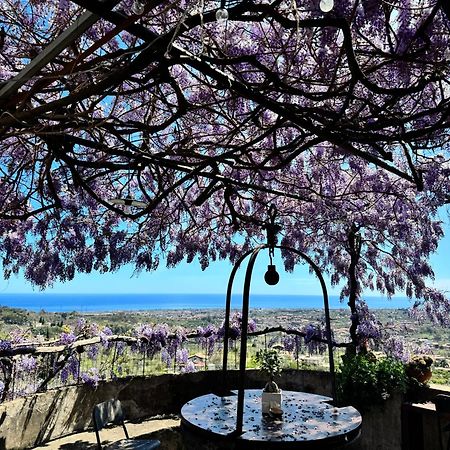 Bed and Breakfast Il Noceto Dell'Etna Giarre Zewnętrze zdjęcie